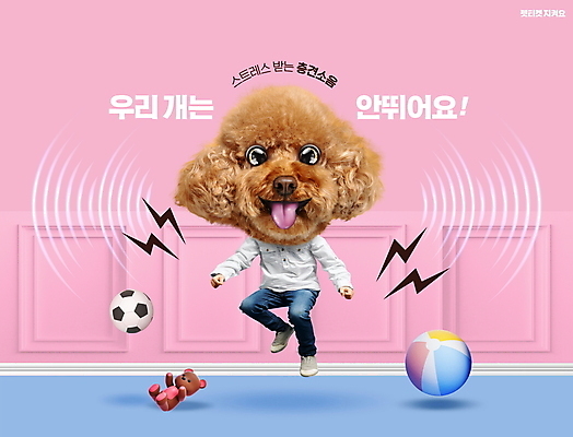 PSD 편집이미지 분홍색 사람없음 반려동물 점프 예절 강아지 푸들 매너 층간소음 펫티켓 이미지편집 동물 컬러 모션 개 소음 파일형식