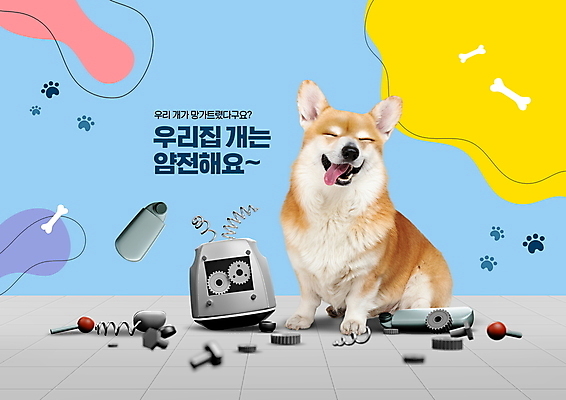 PSD 편집이미지 한마리 반려견 하늘색 사람없음 반려동물 기계 예절 부속품 강아지 고장 매너 웰시코기 펫티켓 이미지편집 동물 1 파란색 개 오브젝트 파일형식