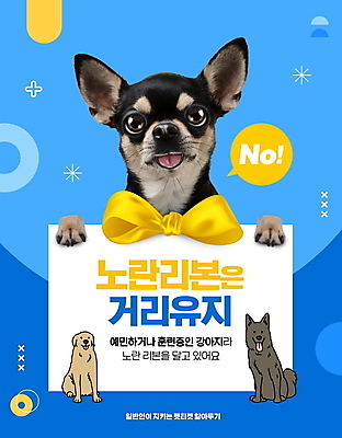 PSD 편집이미지 리본 반려견 세마리 사람없음 파란색 반려동물 강아지 거절 치와와 펫티켓 이미지편집 동물 컬러 컨셉 3 예절 개 파일형식