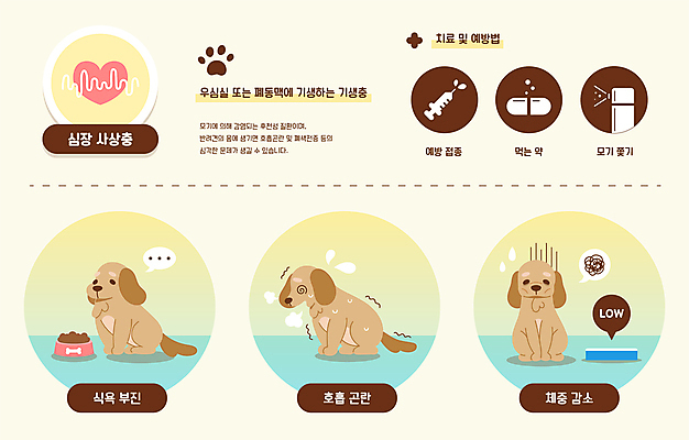 반려견 일러스트 세마리 사람없음 반려동물 인포그래픽 개 강아지 질병 몸무게 식욕부진 오한 증상 체중측정 호흡곤란 심장사상충 국내일러스트 AI파일 동물 포유류 의학 3 측정 파일형식 벡터