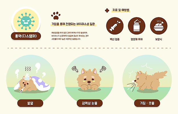 반려견 일러스트 세마리 사람없음 반려동물 눕기 인포그래픽 바이러스 개 강아지 질병 눈물 기침 발열 재채기 전염병 증상 홍역 국내일러스트 AI파일 동물 감정 포유류 의학 모션 3 파일형식 벡터