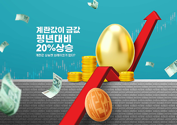 PSD 편집이미지 화살표 돈 사람없음 계란 시세 상승 청록색 황금알 인플레이션 이미지편집 컬러 컨셉 금융 경제 알 재산 파일형식