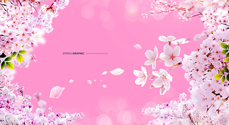 PSD 편집이미지 꽃잎 분홍색 백그라운드 봄꽃 풍경 사람없음 봄 벚꽃 이미지편집 계절 꽃 컬러 파일형식
