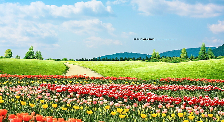 PSD 편집이미지 백그라운드 꽃밭 봄꽃 하늘 풍경 사람없음 봄 튤립 이미지편집 계절 꽃 파일형식