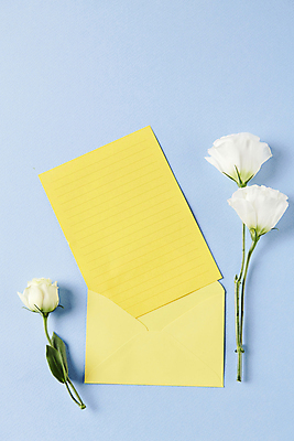 포토 JPG 스튜디오촬영 백그라운드 편지봉투 사람없음 파란색 하이앵글 장미 노란색 유행 편지지 트렌드컬러 국내포토 꽃 뷰포인트 컬러 봉투 실내 편지 파일형식