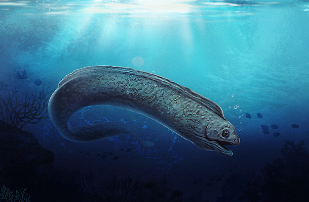 PSD 한마리 일러스트 어류 사람없음 파란색 바닷속 수중 곰치 국내일러스트 1 컬러 수중동물 파일형식