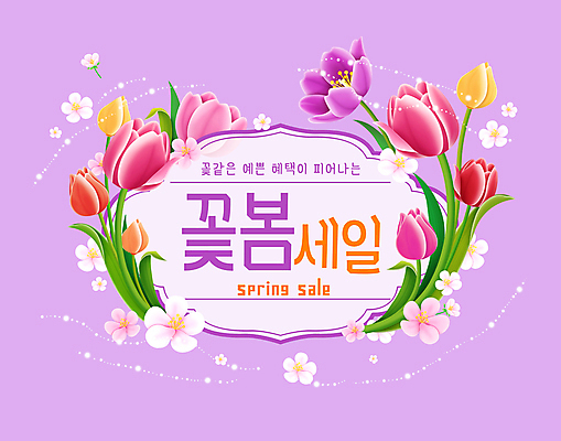 PSD 일러스트 프레임 사람없음 반짝임 쇼핑 세일 보라색 봄 튤립 벚꽃 국내일러스트 계절 꽃 컬러 모션 파일형식