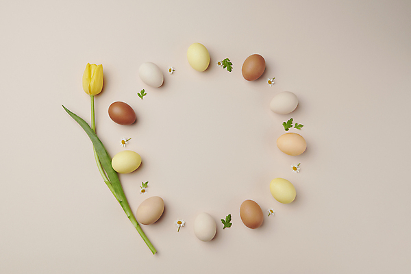 포토 JPG 스튜디오촬영 기독교 프레임 사람없음 튤립 원형 부활절계란 베이지색 국내포토 도형 꽃 종교 컬러 부활절 실내 계란 파일형식
