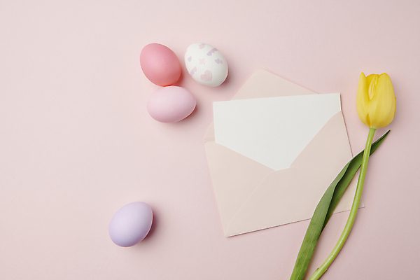 포토 JPG 스튜디오촬영 기독교 분홍색 편지봉투 사람없음 튤립 부활절계란 초대장 국내포토 꽃 종교 컬러 봉투 부활절 카드_감사 실내 계란 편지 파일형식