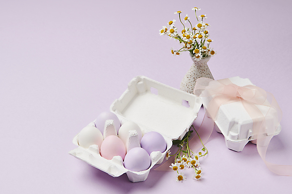 포토 JPG 스튜디오촬영 꽃 리본 기독교 사람없음 부활절계란 연보라색 계란판 캐모마일 국내포토 식물 종교 부활절 실내 계란 보라색 허브 파일형식