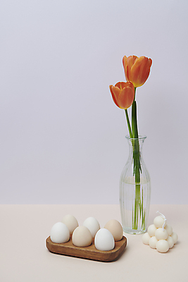 포토 JPG 스튜디오촬영 기독교 사람없음 튤립 부활절계란 국내포토 꽃 종교 부활절 실내 계란 파일형식