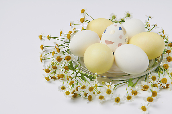 포토 JPG 스튜디오촬영 기독교 근접촬영 사람없음 장식 부활절계란 캐모마일 국내포토 꽃 종교 뷰포인트 부활절 실내 계란 허브 파일형식