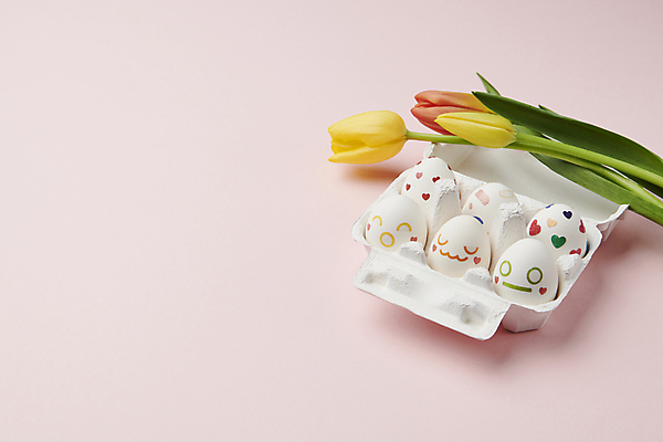 포토 JPG 스튜디오촬영 기독교 사람없음 튤립 부활절계란 계란판 카피스페이스 국내포토 꽃 종교 부활절 실내 계란 공백 파일형식