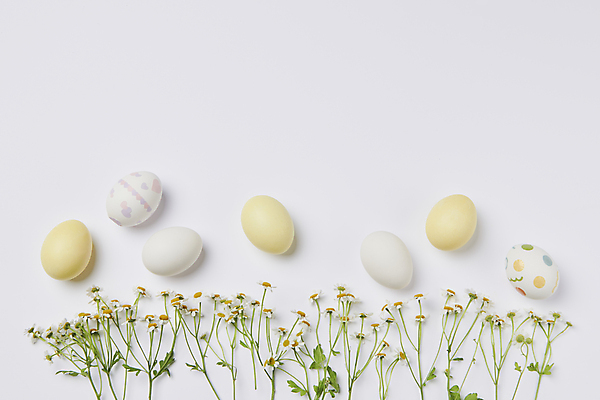 포토 JPG 스튜디오촬영 기독교 사람없음 부활절계란 캐모마일 카피스페이스 국내포토 꽃 종교 부활절 실내 계란 공백 허브 파일형식