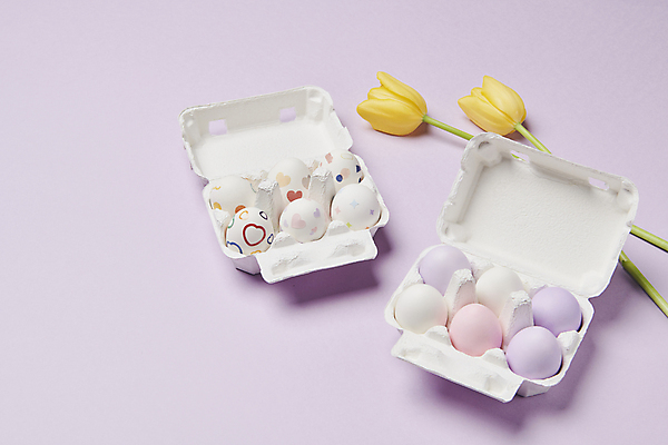 포토 JPG 스튜디오촬영 기독교 사람없음 튤립 담기 부활절계란 연보라색 계란판 국내포토 꽃 종교 모션 부활절 실내 계란 보라색 파일형식