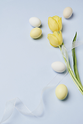 포토 JPG 스튜디오촬영 리본 기독교 사람없음 튤립 부활절계란 국내포토 꽃 종교 부활절 실내 계란 파일형식