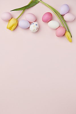포토 JPG 스튜디오촬영 기독교 분홍색 사람없음 튤립 부활절계란 카피스페이스 국내포토 꽃 종교 컬러 부활절 실내 계란 공백 파일형식