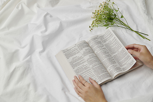 포토 JPG 스튜디오촬영 손 꽃 기독교 부활절 신체부위 성경 흰색 잡기 국내포토 식물 기념일 종교 컬러 종교용품 모션 실내 사람 파일형식