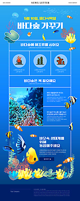 PSD 웹템플릿 어류 사람없음 파란색 환경 바닷속 해조류 산호 보호 생태계 해파리 뉴스레터 미역 바다식목일 이미지템플릿 템플릿 기념일 컬러 컨셉 수중 수중동물 해양식물 자포동물 파일형식