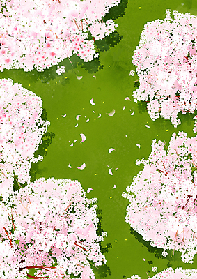 PSD 꽃잎 분홍색 일러스트 봄꽃 자연 풍경 사람없음 초록색 봄 벚꽃 벚나무 국내일러스트 나무 계절 꽃 컬러 생태계 파일형식