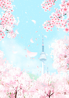 PSD 꽃잎 분홍색 하늘색 일러스트 봄꽃 자연 하늘 풍경 사람없음 봄 벚꽃 벚나무 남산타워 국내일러스트 나무 계절 꽃 컬러 파란색 생태계 남산 파일형식