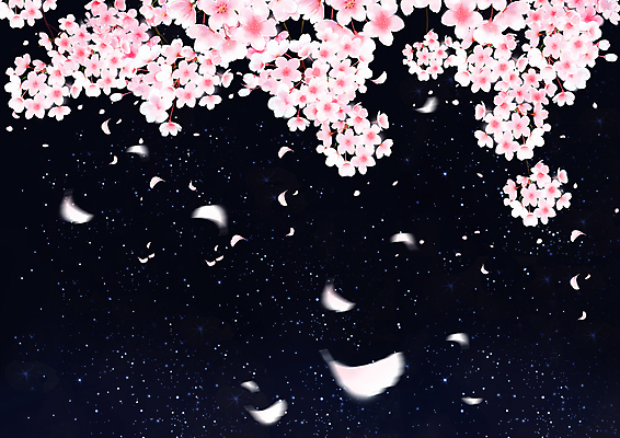 PSD 꽃잎 분홍색 야경 일러스트 봄꽃 자연 밤하늘 사람없음 검은색 봄 벚꽃 야간 국내일러스트 자연요소 계절 꽃 컬러 하늘 생태계 파일형식 풍경_경치