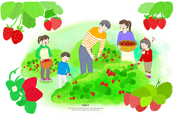 전신 PSD 여자 남자 어린이 일러스트 가족 딸기 숙이기 서기 미소 들기 소녀 소년 여러명 성인 바구니 봄 수확 체험 먹기 딸기농장 국내일러스트 계절 포즈 다수 컨셉 농업 과일 관계 모션 표정 사람 농장 파일형식