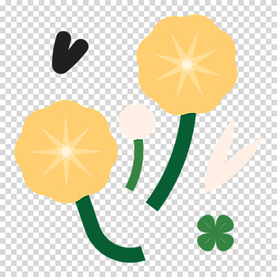 편집이미지 꽃 자연 누끼 사람없음 봄 네잎클로버 오브젝트 PNG 식물 계절 클로버 생태계 파일형식