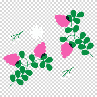 편집이미지 꽃 잎 자연 누끼 사람없음 봄 오브젝트 PNG 식물 계절 생태계 파일형식