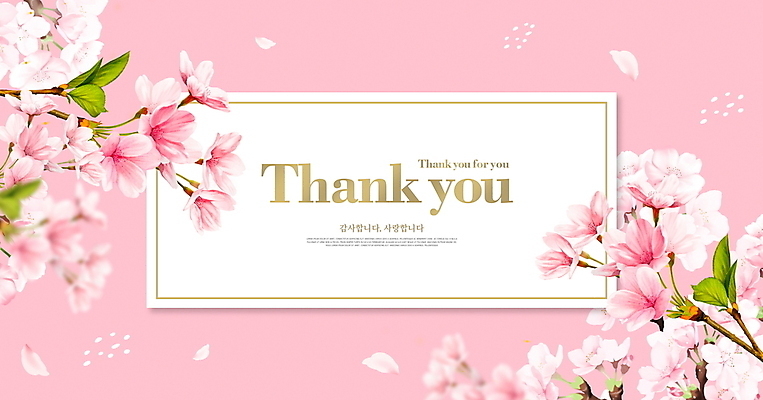 PSD 편집이미지 꽃잎 분홍색 프레임 사람없음 봄 벚꽃 땡큐 이미지편집 카드프레임 계절 꽃 컬러 파일형식