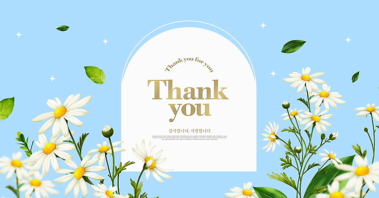 PSD 편집이미지 하늘색 프레임 사람없음 봄 땡큐 캐모마일 이미지편집 카드프레임 계절 꽃 파란색 허브 파일형식