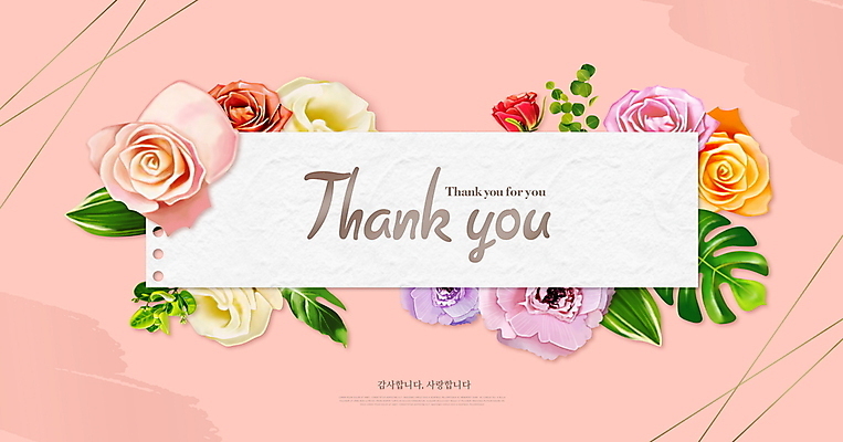 PSD 편집이미지 꽃 분홍색 프레임 사람없음 장미 봄 땡큐 이미지편집 카드프레임 식물 계절 컬러 파일형식