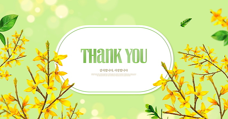 PSD 편집이미지 프레임 사람없음 연두색 봄 개나리 보케 빛망울 땡큐 이미지편집 카드프레임 계절 꽃 초록색 빛 파일형식