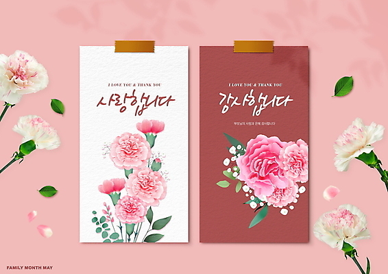 PSD 편집이미지 꽃잎 분홍색 잎 사랑 사람없음 세트 어버이날 5월 편지 카네이션 감사 테이프 가정의달 이미지편집 카드프레임 식물 기념일 꽃 감정 컬러 문구용품 프레임 날짜 파일형식