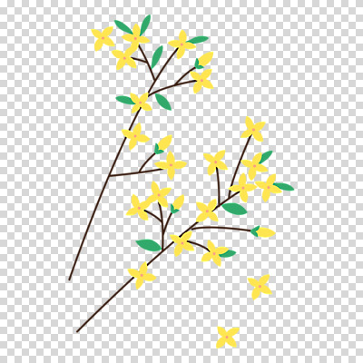편집이미지 누끼 사람없음 노란색 봄 개나리 PNG 꽃가지 계절 꽃 컬러 나뭇가지 파일형식