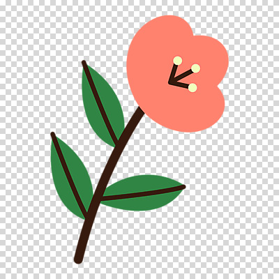 편집이미지 꽃 누끼 사람없음 봄 PNG 코랄 식물 계절 컬러 파일형식