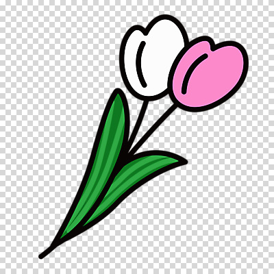 편집이미지 누끼 사람없음 봄 튤립 PNG 계절 꽃 파일형식