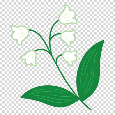 편집이미지 누끼 사람없음 봄 흰색 은방울꽃 PNG 계절 꽃 컬러 파일형식