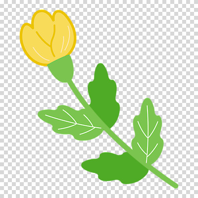 편집이미지 꽃 누끼 사람없음 노란색 봄 PNG 식물 계절 컬러 파일형식