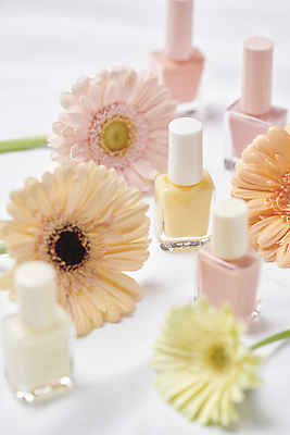 포토 JPG 스튜디오촬영 실내 사람없음 아웃포커스 뷰티 소프트포커스 네일아트 오브젝트 매니큐어 거베라 네일용품 국내포토 꽃 촬영기법 내부 화장품 미용용품 파일형식