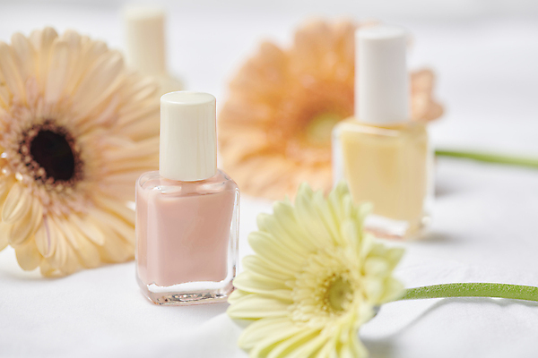 포토 JPG 스튜디오촬영 실내 근접촬영 사람없음 아웃포커스 뷰티 네일아트 오브젝트 매니큐어 거베라 네일용품 국내포토 꽃 뷰포인트 촬영기법 내부 화장품 미용용품 파일형식