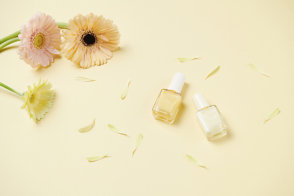 포토 JPG 스튜디오촬영 무료이미지 꽃잎 실내 사람없음 하이앵글 뷰티 노란색 네일아트 오브젝트 매니큐어 거베라 네일용품 국내포토 꽃 뷰포인트 컬러 내부 화장품 미용용품 파일형식