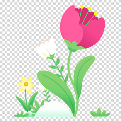 편집이미지 누끼 사람없음 봄 튤립 풀 수선화 PNG 식물 계절 꽃 파일형식
