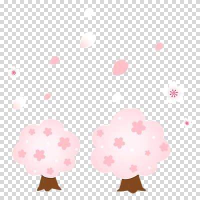 편집이미지 꽃잎 분홍색 누끼 사람없음 봄 벚꽃 벚나무 PNG 나무 계절 꽃 컬러 파일형식