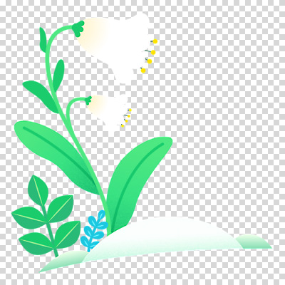 편집이미지 봄꽃 누끼 사람없음 초록색 봄 초롱꽃 PNG 계절 꽃 컬러 파일형식