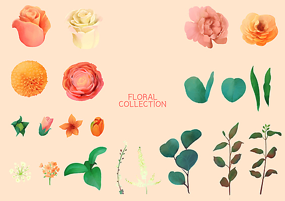 PSD 꽃 줄기 잎 일러스트 국화 사람없음 장미 로맨틱 튤립 카네이션 꽃봉오리 엘리먼트 코랄 국내일러스트 식물 컬러 컨셉 파일형식