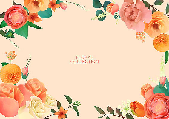 PSD 꽃 잎 일러스트 프레임 국화 사람없음 장미 로맨틱 튤립 빈티지 카네이션 카피스페이스 코랄 국내일러스트 식물 컬러 컨셉 공백 파일형식