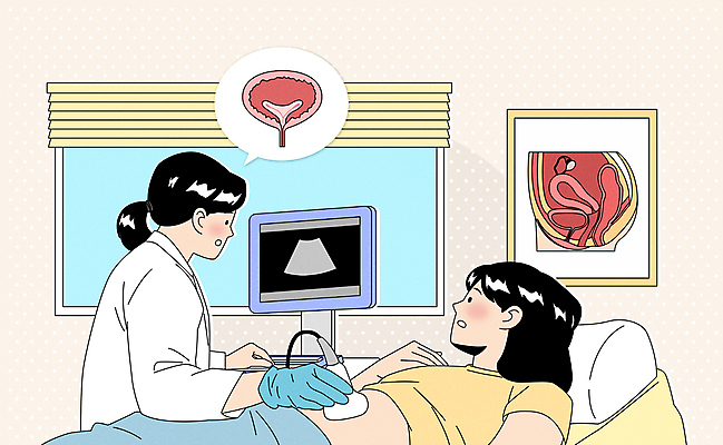 여자 일러스트 창문 서기 상반신 성인 두명 눕기 모니터 진료 환자 의사 커튼 상담 방광 비뇨기과 진료대 초음파검사 성인여자만 방광염 요도염 국내일러스트 AI파일 의학 모션 병원 사람 컴퓨터 의료진 비뇨기관 질병 검사_조사 염증 여자만 성인만 파일형식 벡터