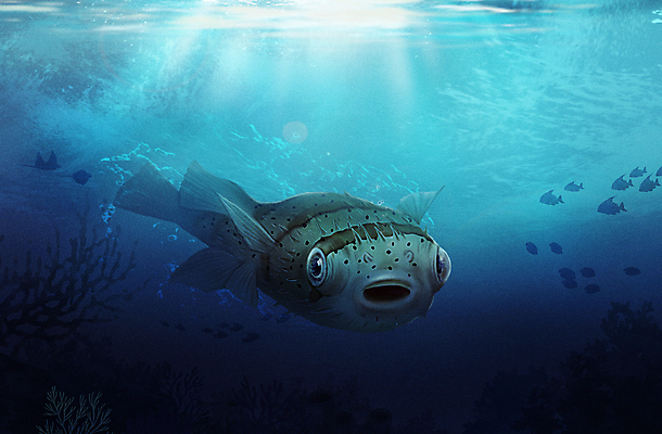 PSD 한마리 바다 일러스트 사람없음 파란색 바닷속 수중 수중동물 아쿠아리움 가시복어 국내일러스트 동물 1 컬러 복어 수족관 파일형식