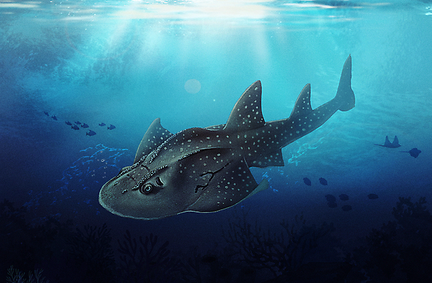 PSD 한마리 바다 일러스트 사람없음 파란색 바닷속 수중 수중동물 아쿠아리움 목탁수구리 국내일러스트 동물 1 컬러 어류 수족관 파일형식